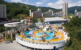 휘닉스 평창 호텔